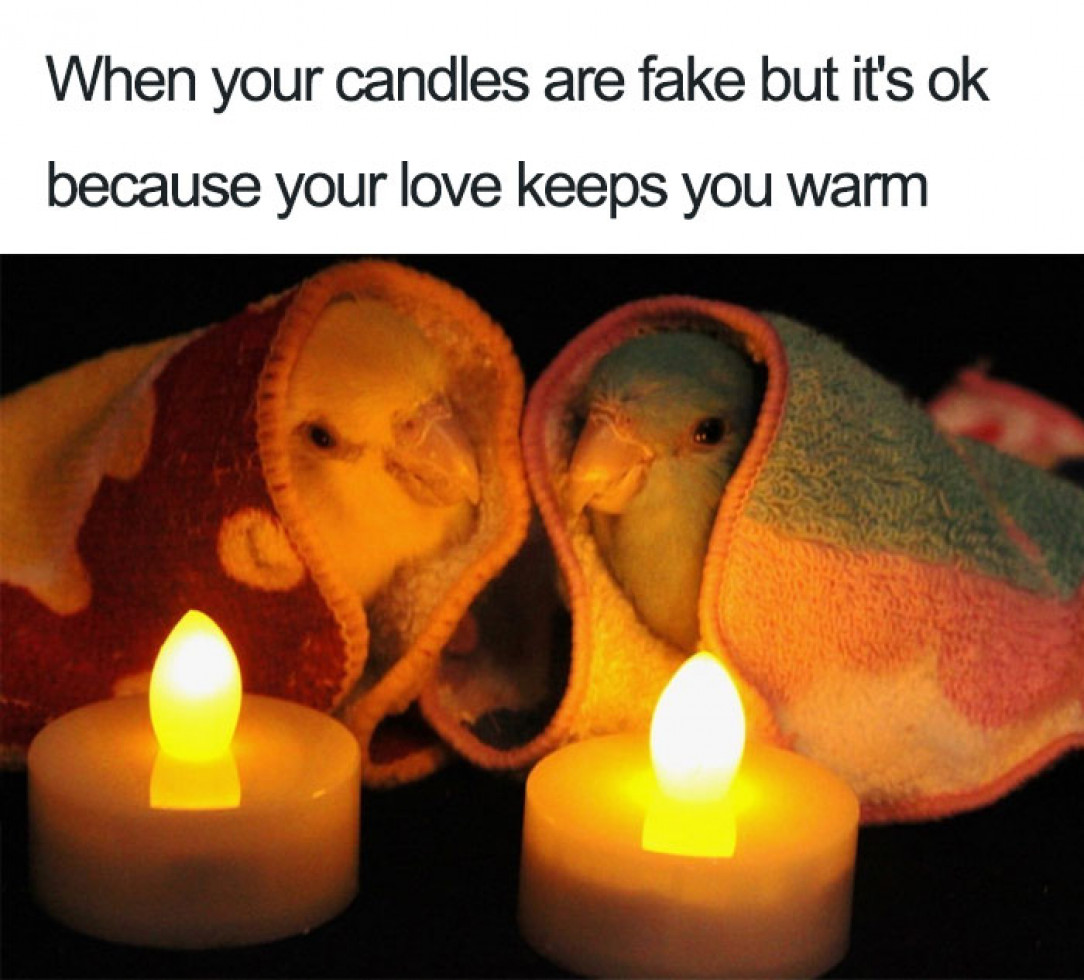 Love can keep us warm