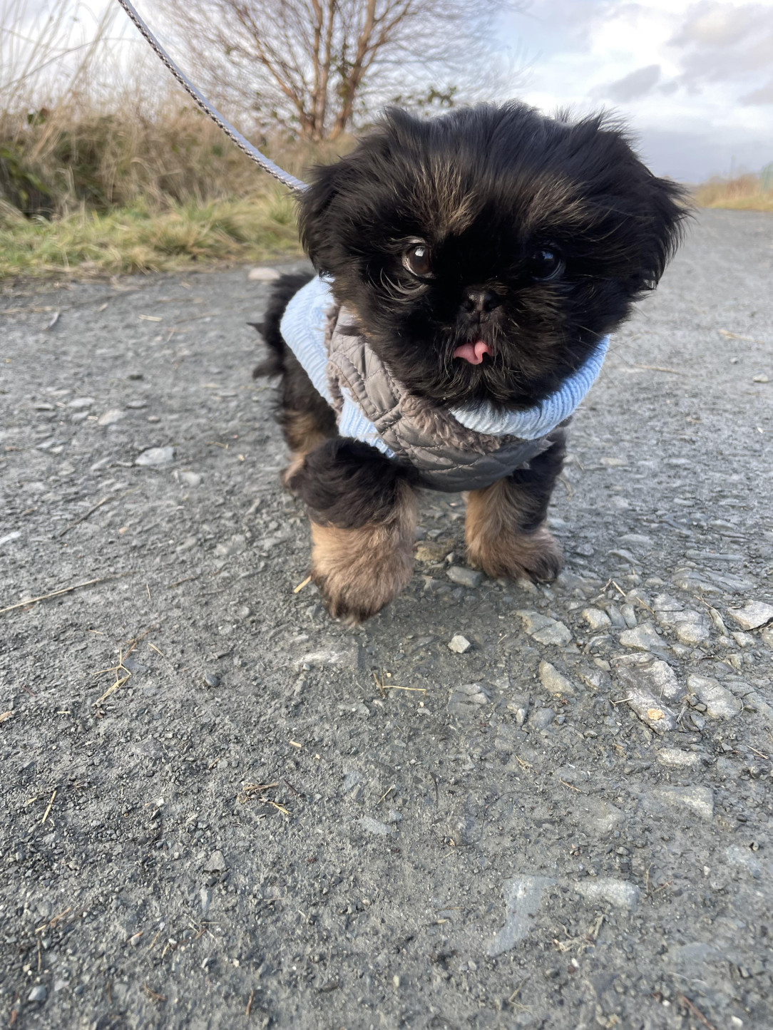 He went for his first walk