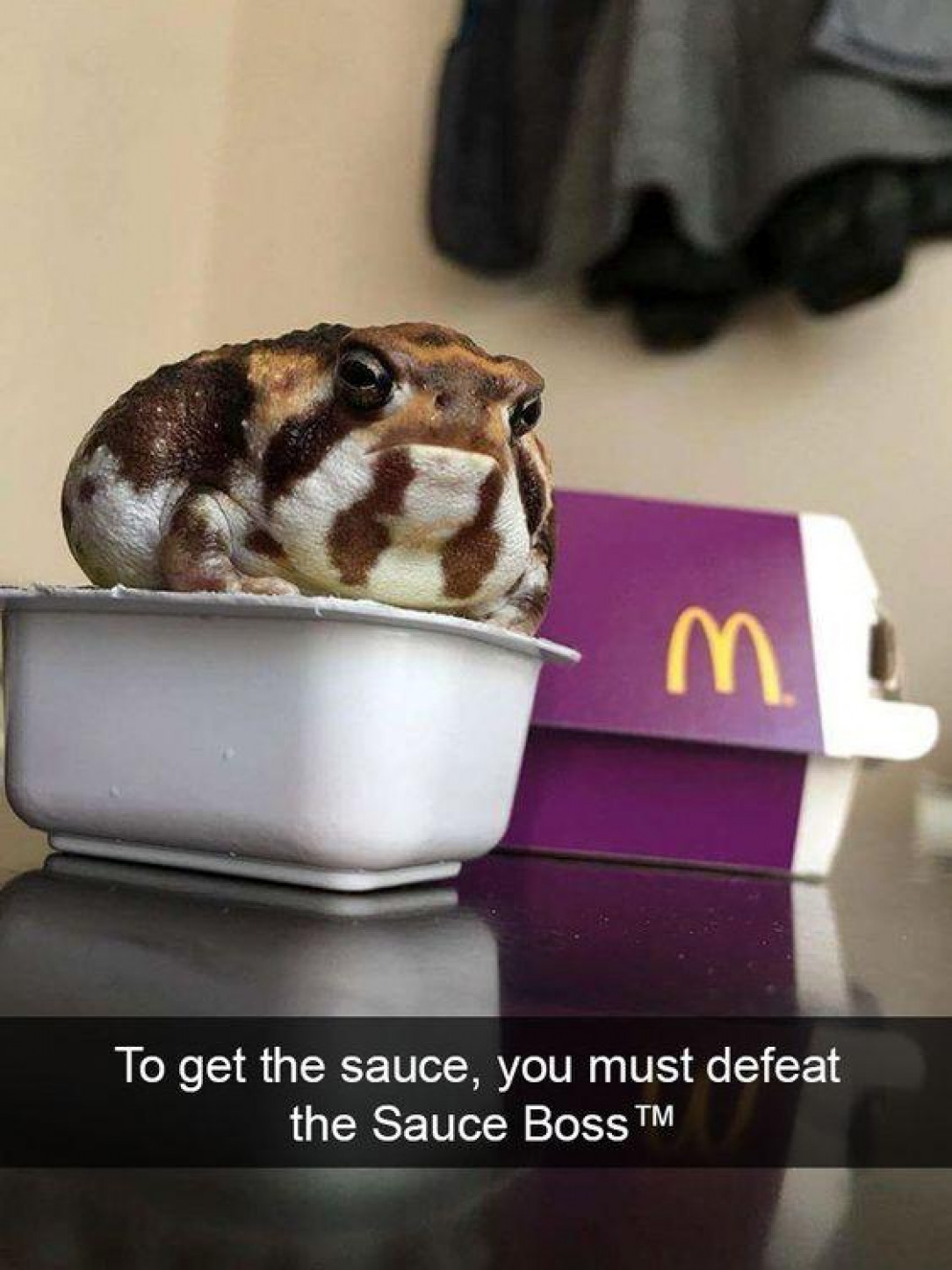 The guardian of the sauce, the sauce boss