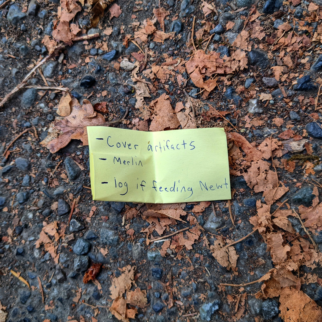 Intriguing note found in the parking lot of a forest!