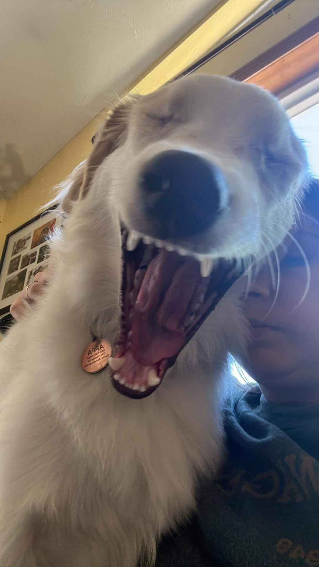 That’s a good yawn