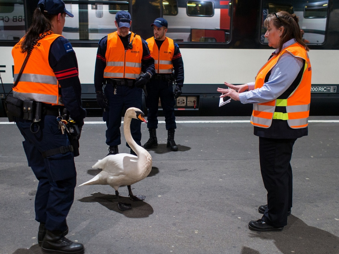 Once again authorities tried to stop him. However he insists to find Leda