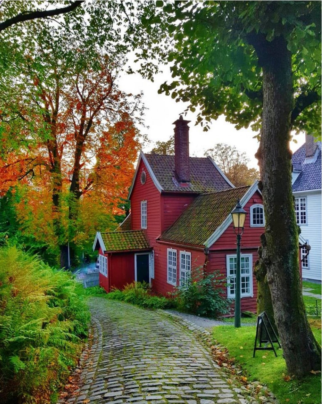 Autumnal Splendor in Bergen, Norway