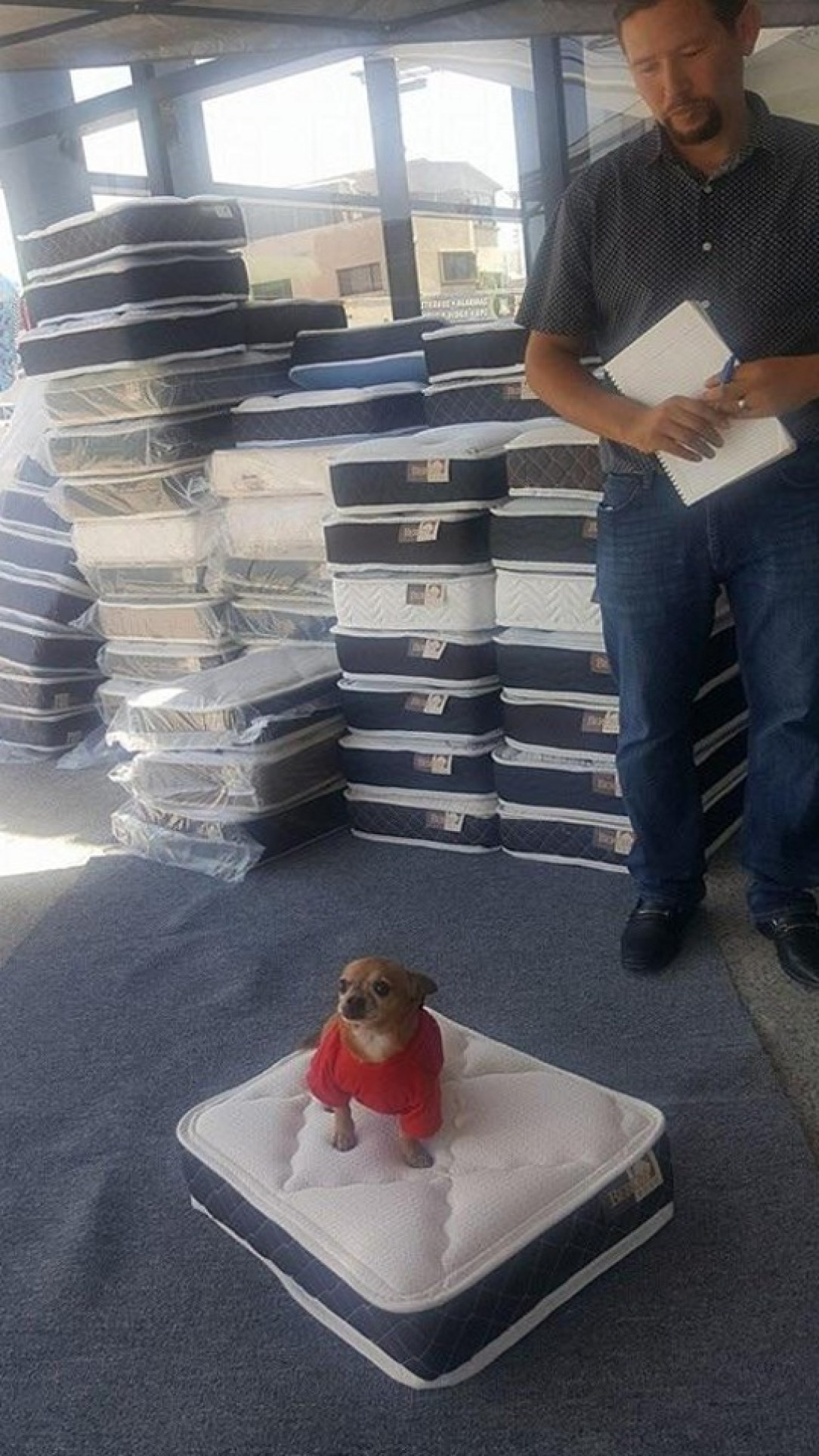 There’s a mattress store that when you buy a mattress, they give one to your dog also 🐶