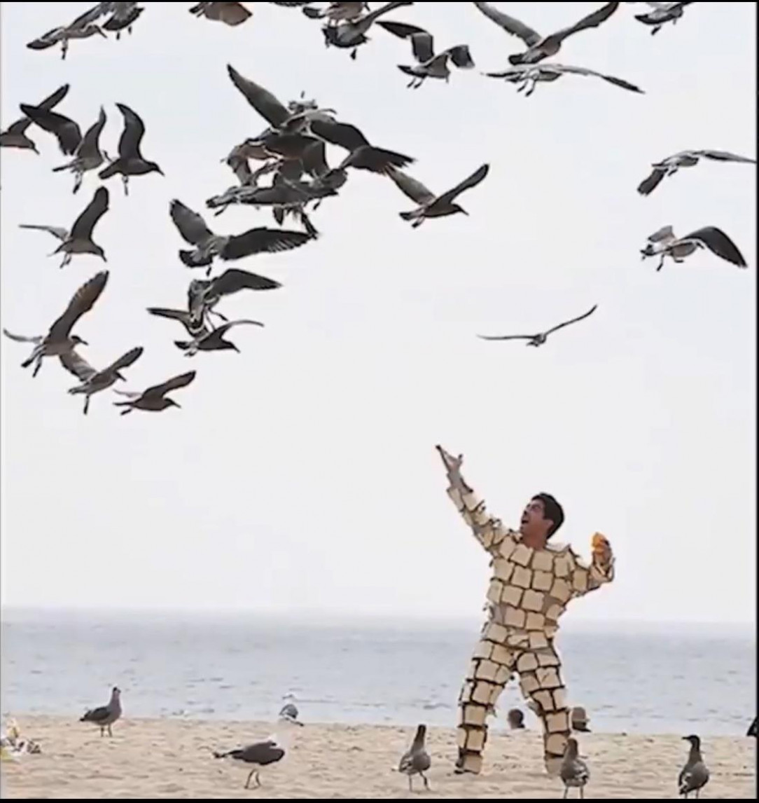 Bread man summoner of birds