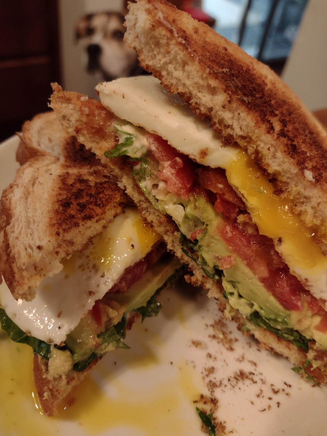 Bacon, lettuce, tomato, egg, avocado, and mayo