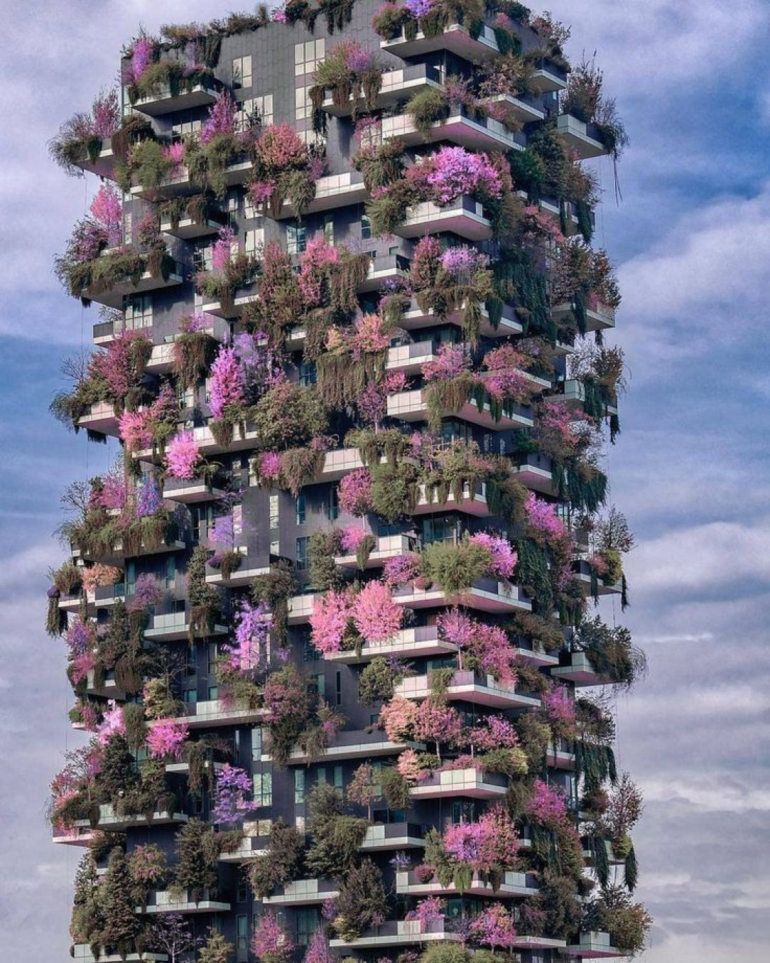 Toronto&#039;s newest skyscraper will be completely covered in trees