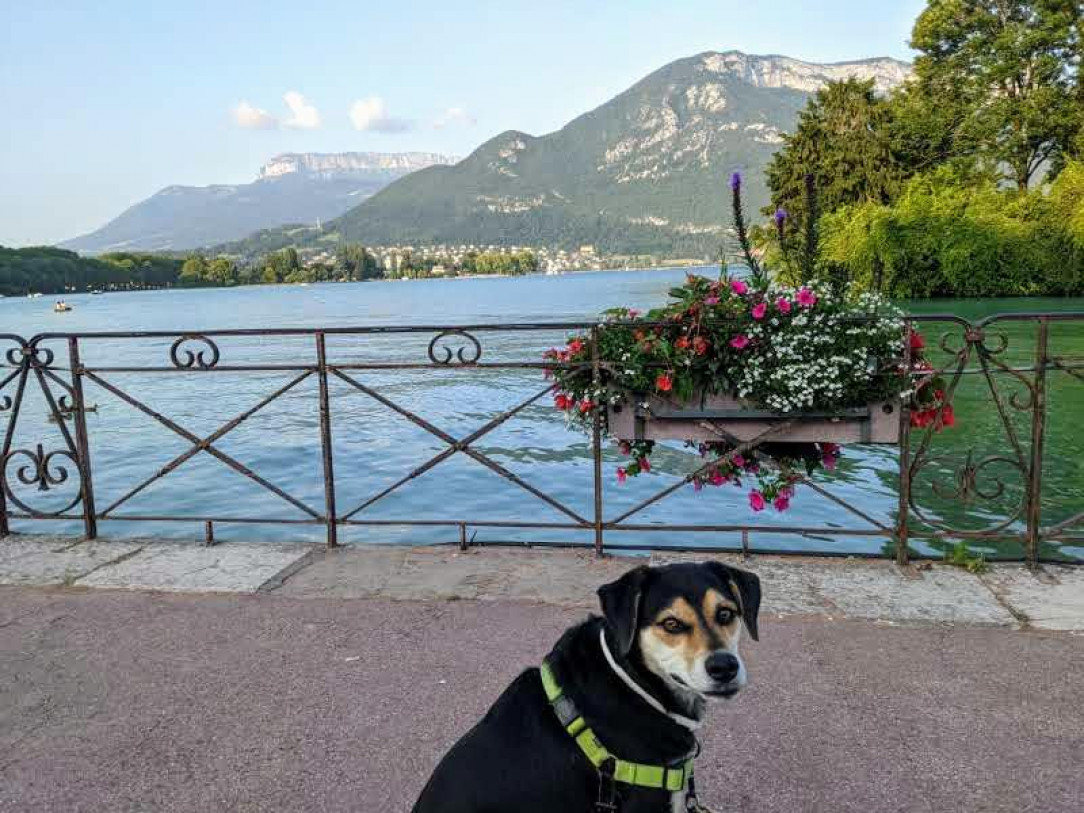 Salut from Lac d&#039;Annecy!
