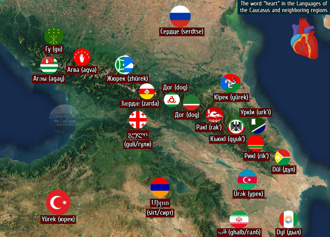 The word &quot;heart&quot; in the languages of the Caucasus and neighboring regions