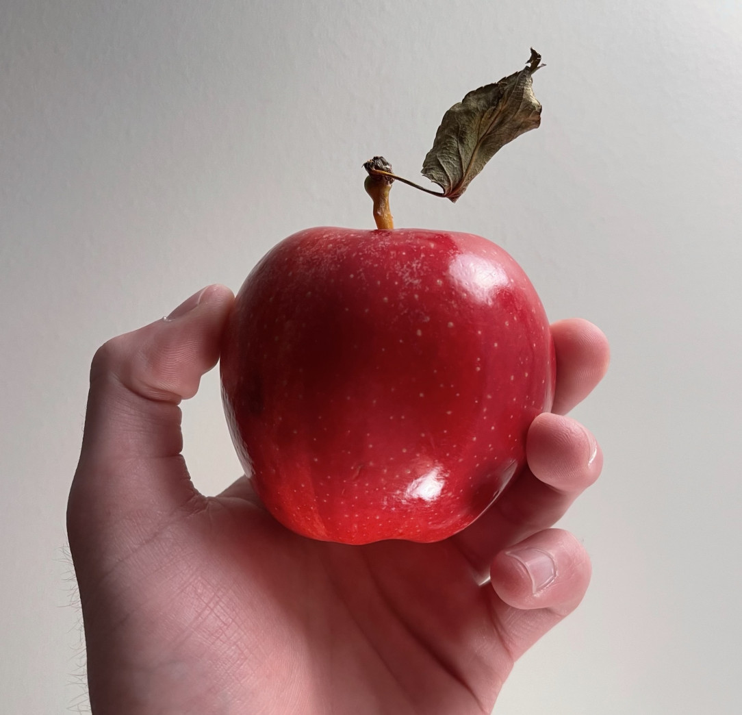 Not sure if this’ll float here but I think I found the perfect apple