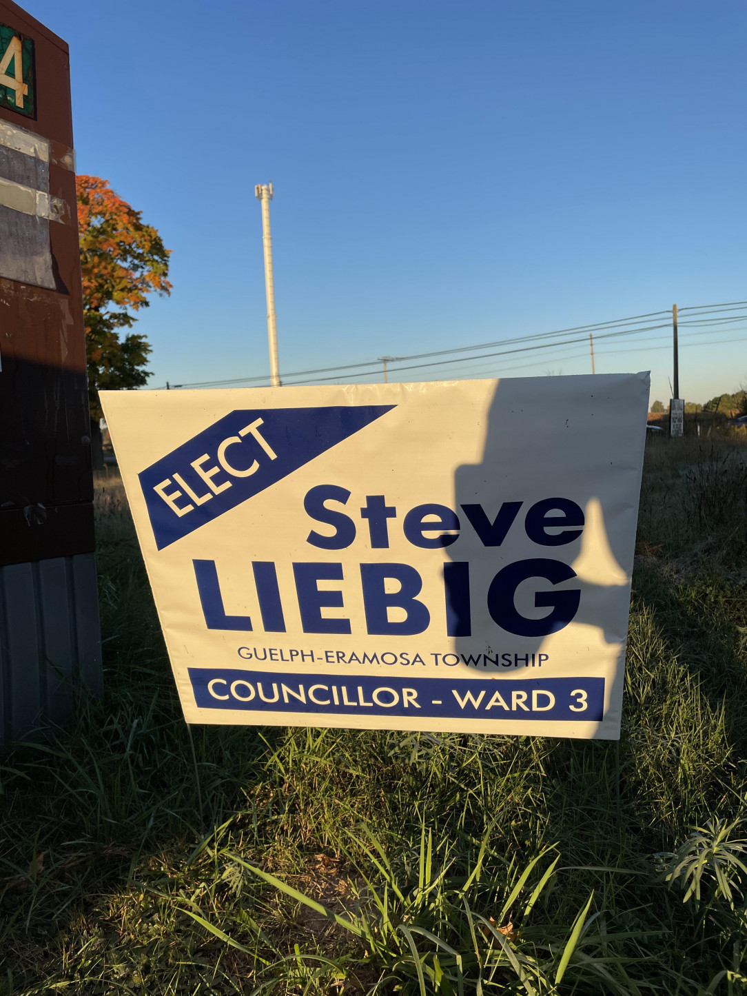 Steve, unfortunate last name for a politician