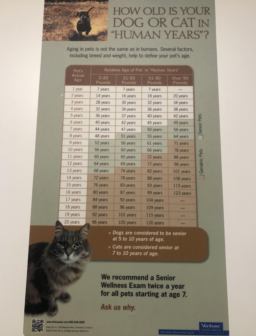 Calculate your pets age