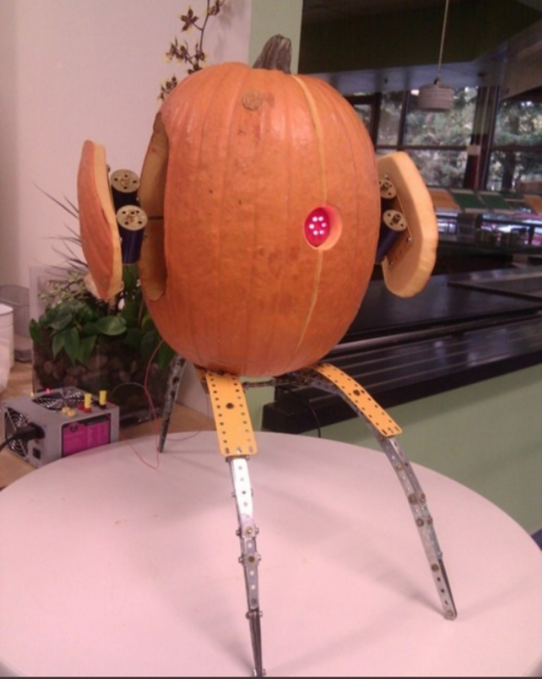 Sentry pumpkin. Automated Halloween terror of A. S. L