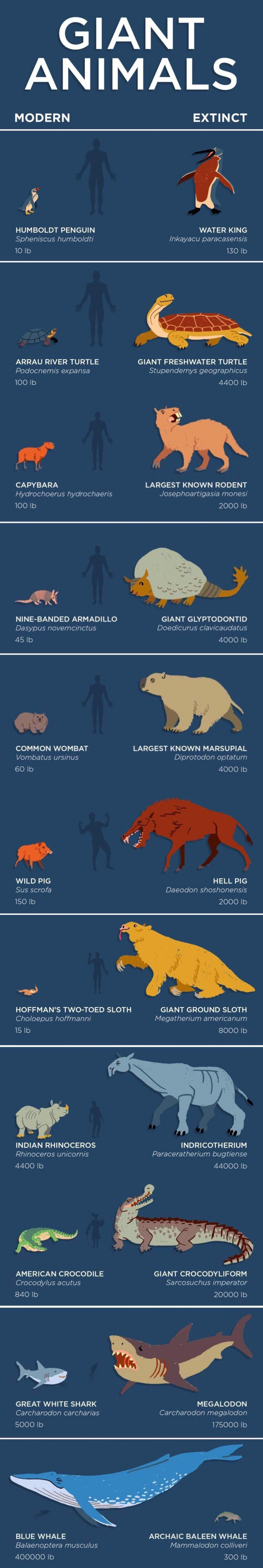 Huge animals