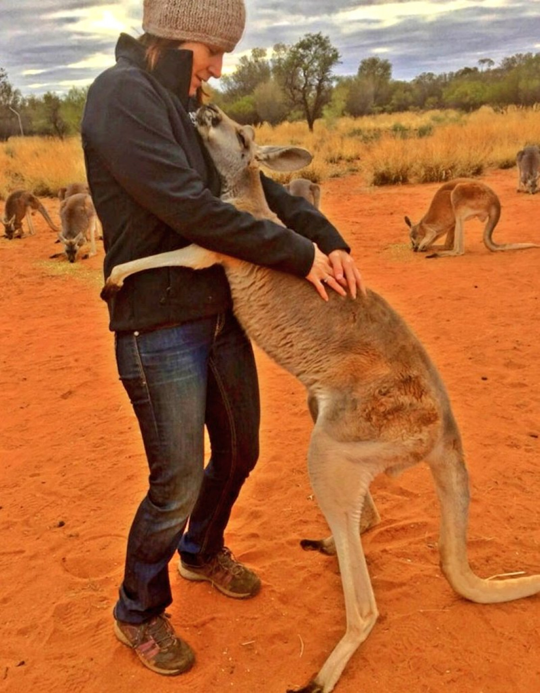 A Kangaroo Can’t Stop Hugging The Volunteers Who Saved Her Life