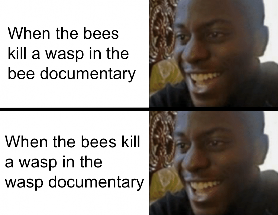 Fuck wasps