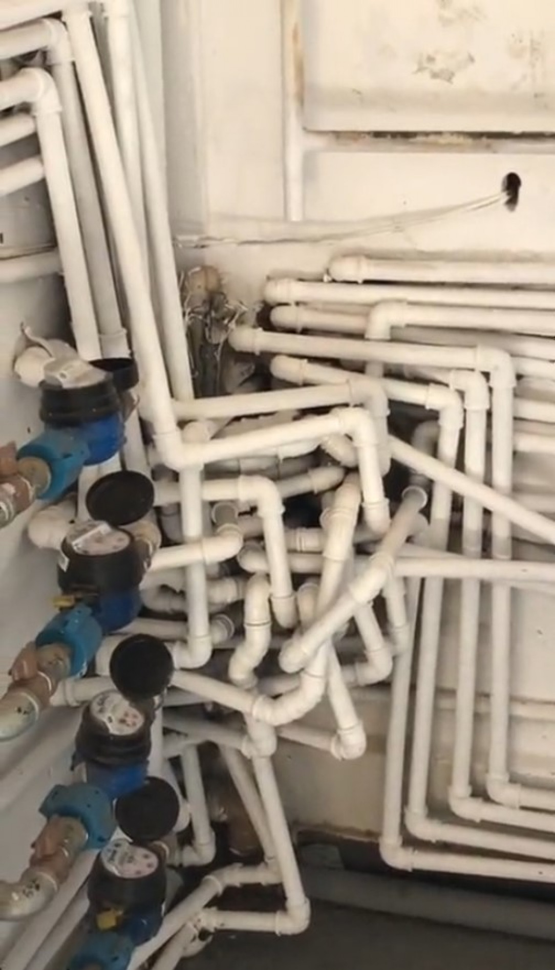 The plumber must really love spaghetti