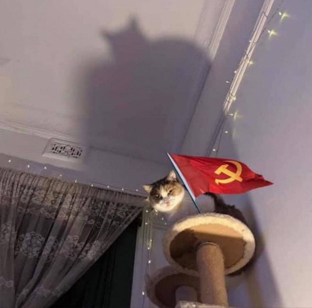 Chairman Meow, Guardian of the gulag