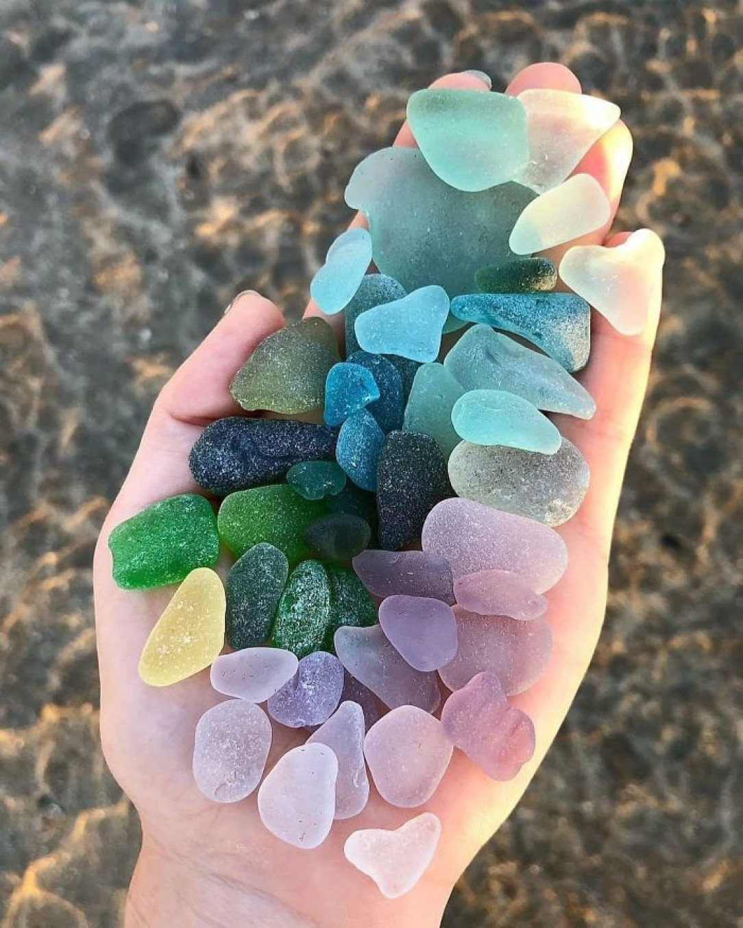 Beach Candy (Sea Rocks)