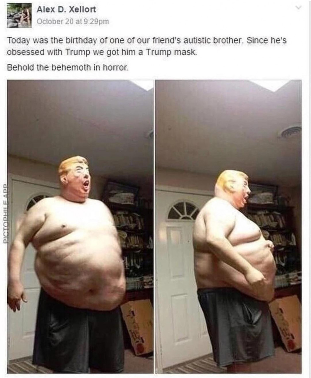 Zombie Trump, builder of walls, eater of brains