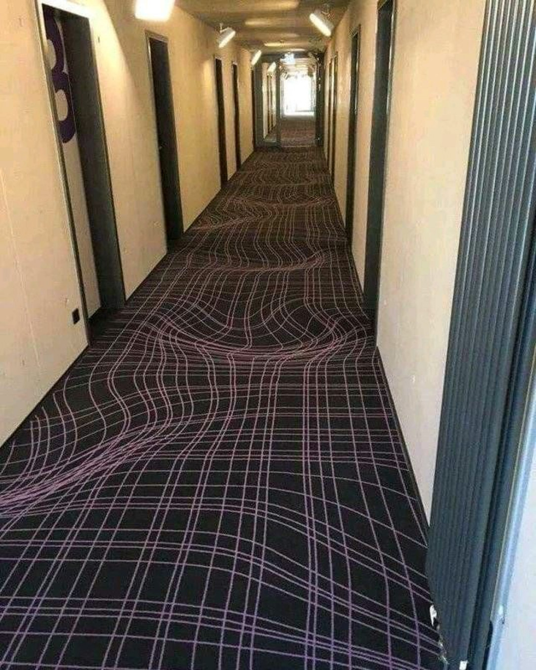 A hotel in Germany uses 3D carpets to prevent guests from running in the passage