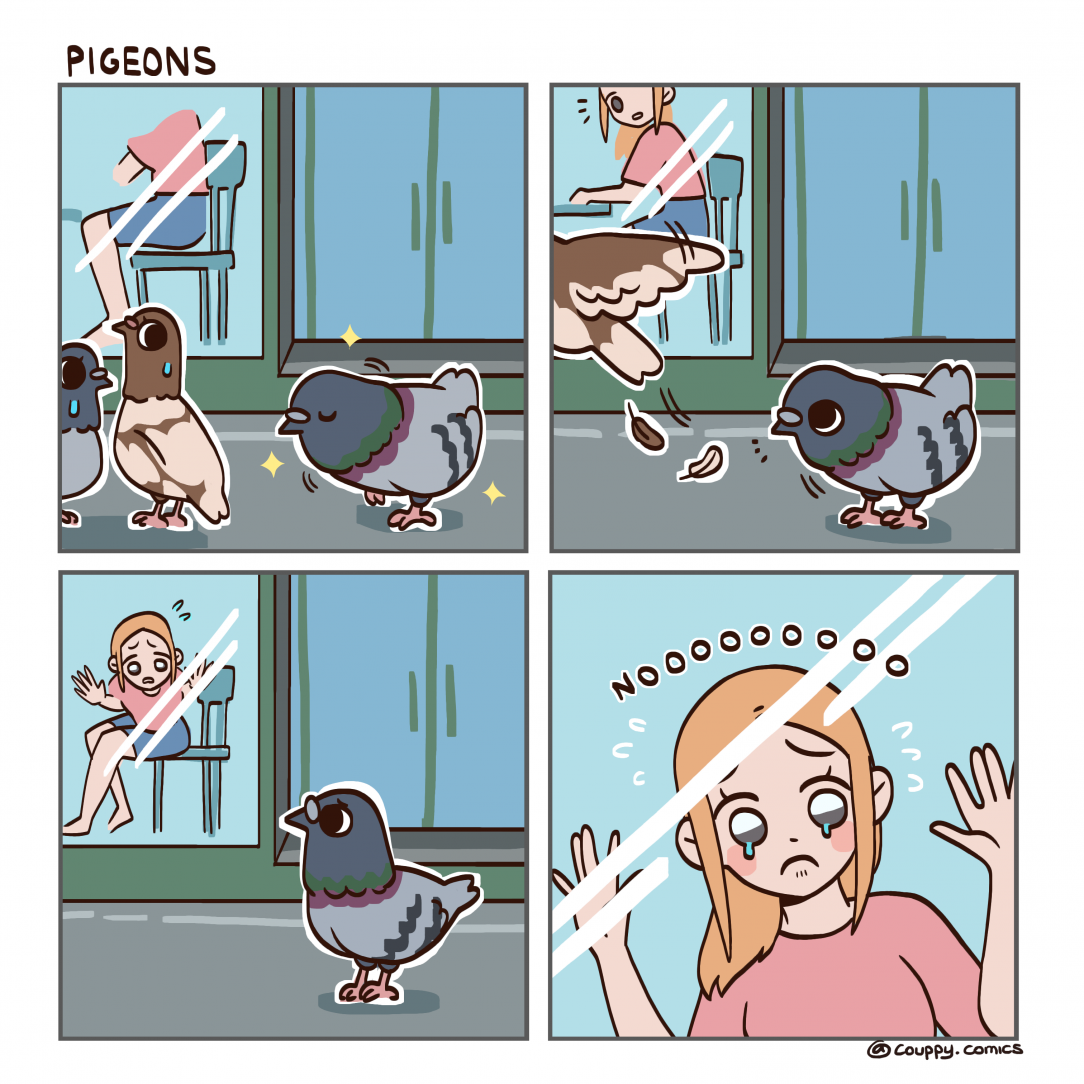 Pigeon did fancy dance but still got rejected: (