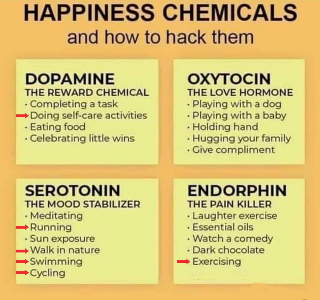 How to hack your happiness chemicals