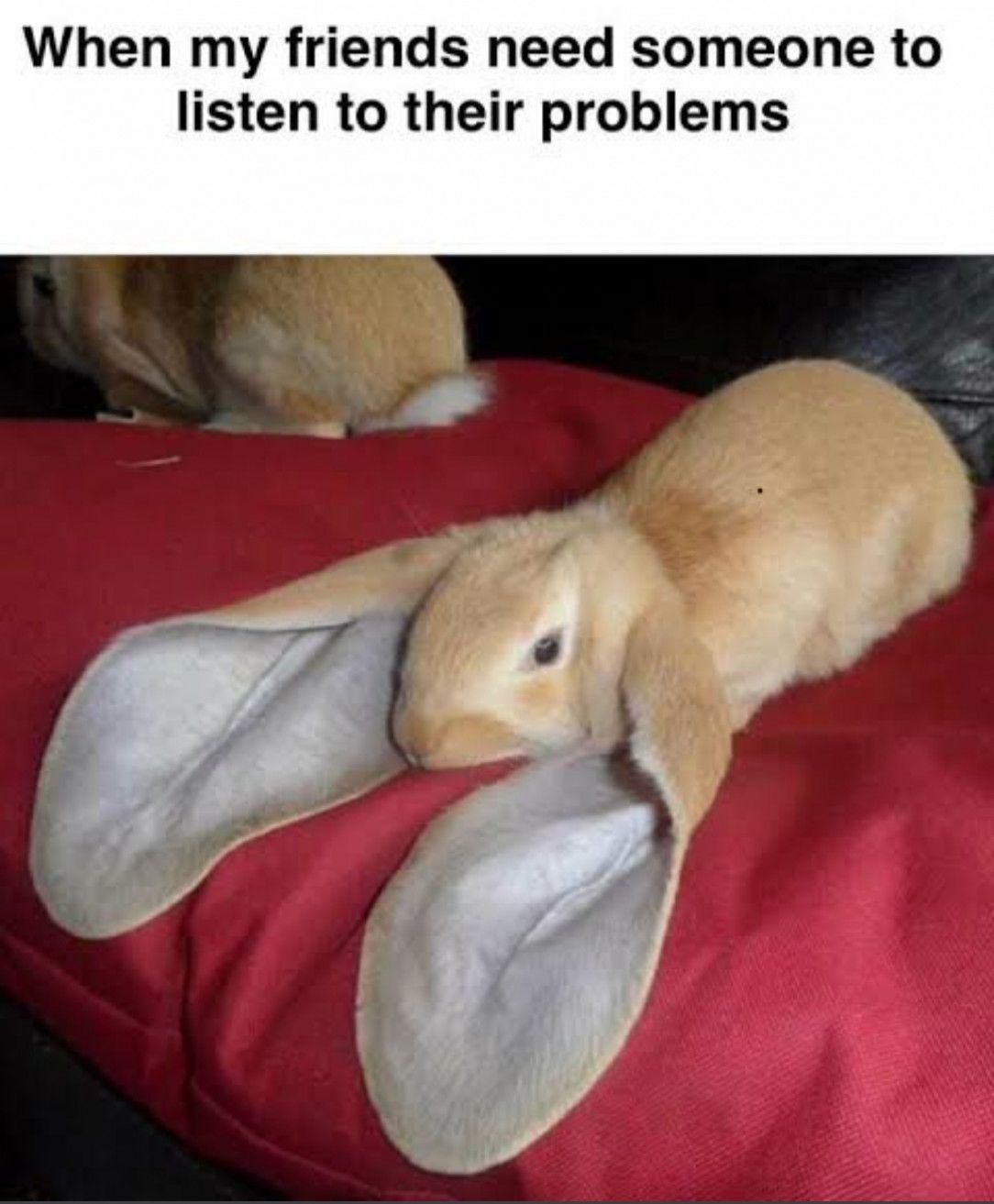 Someone who listens to your problems