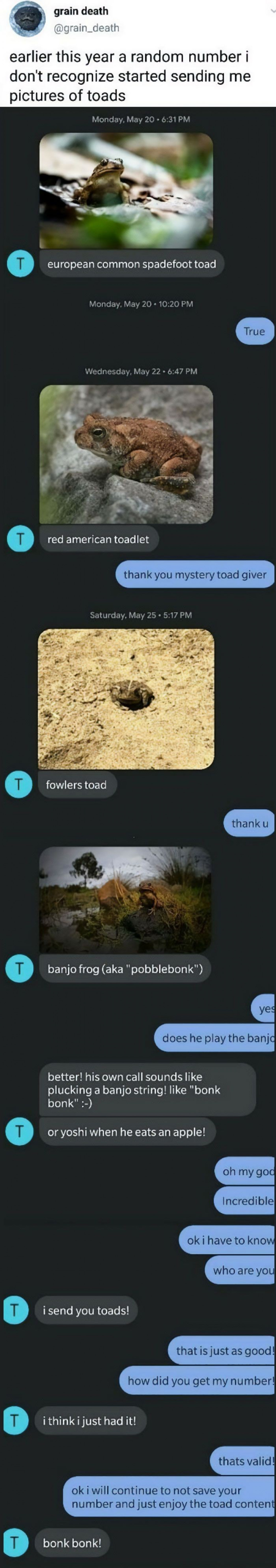 Wholesome toad person