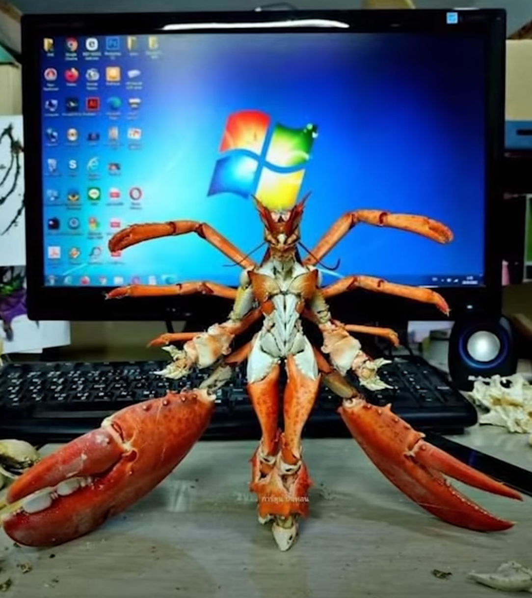 Lobster angel