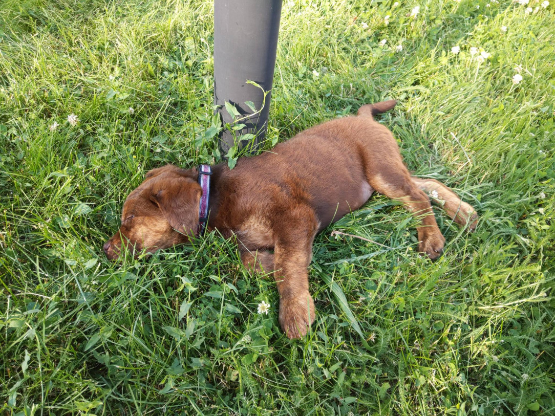 Garden nap on her first day home