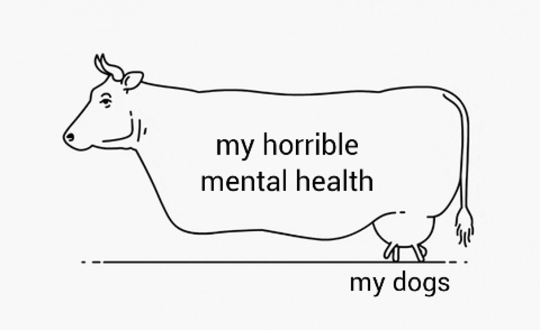 Dogs are effective mental health pill