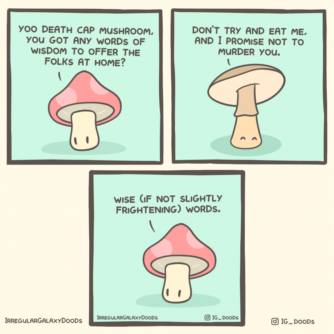 the fungus among us