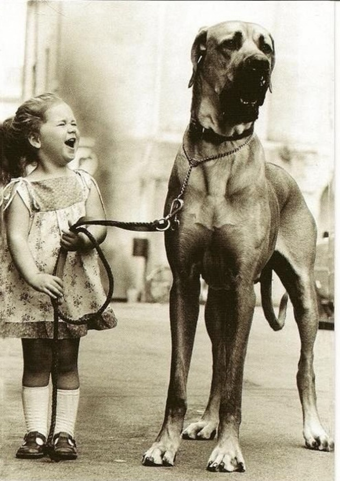 Enormously happy little girl with enormous dog, 1950s