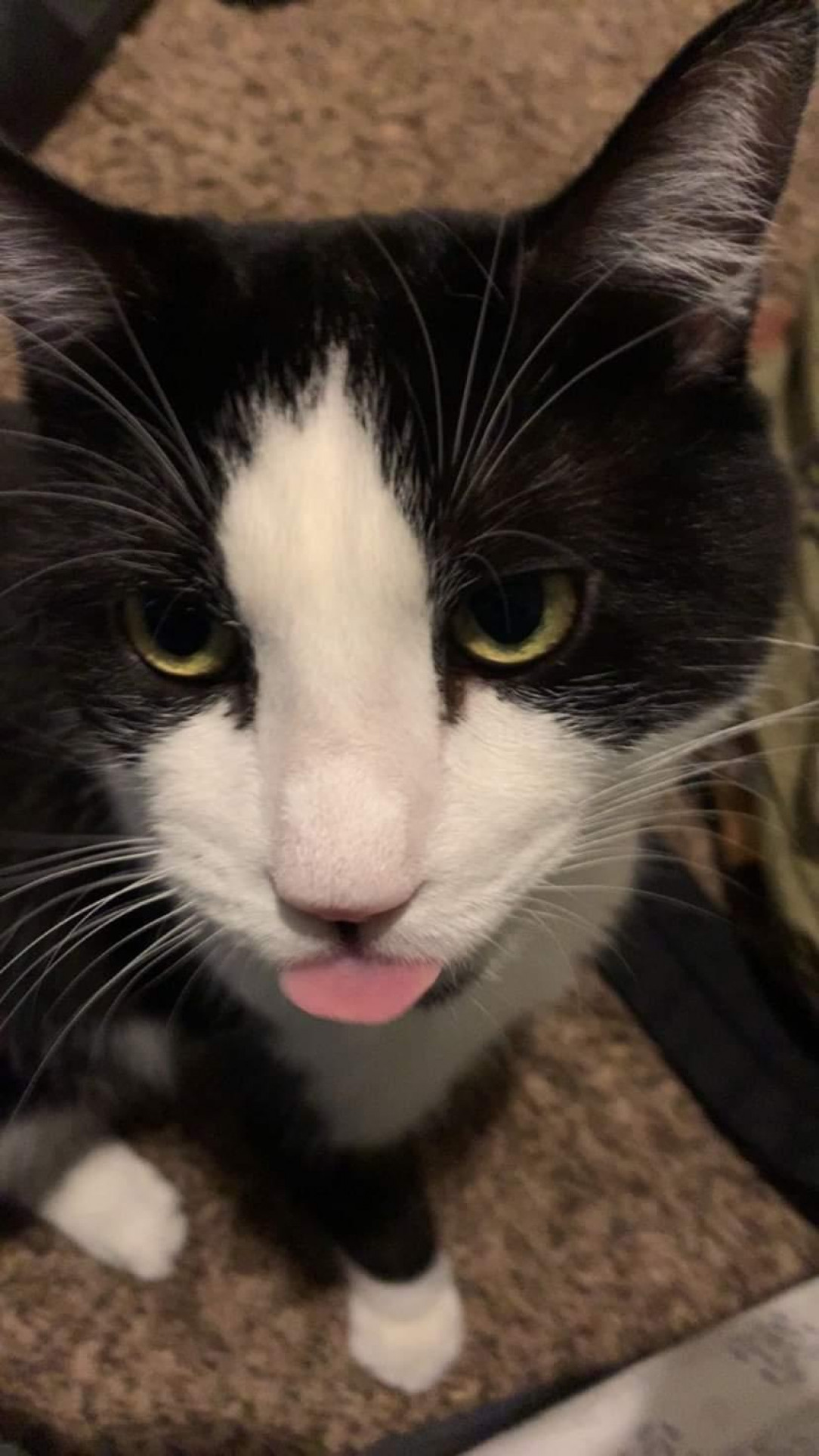 When you lose an argument just stick your tongue out: Master Samson
