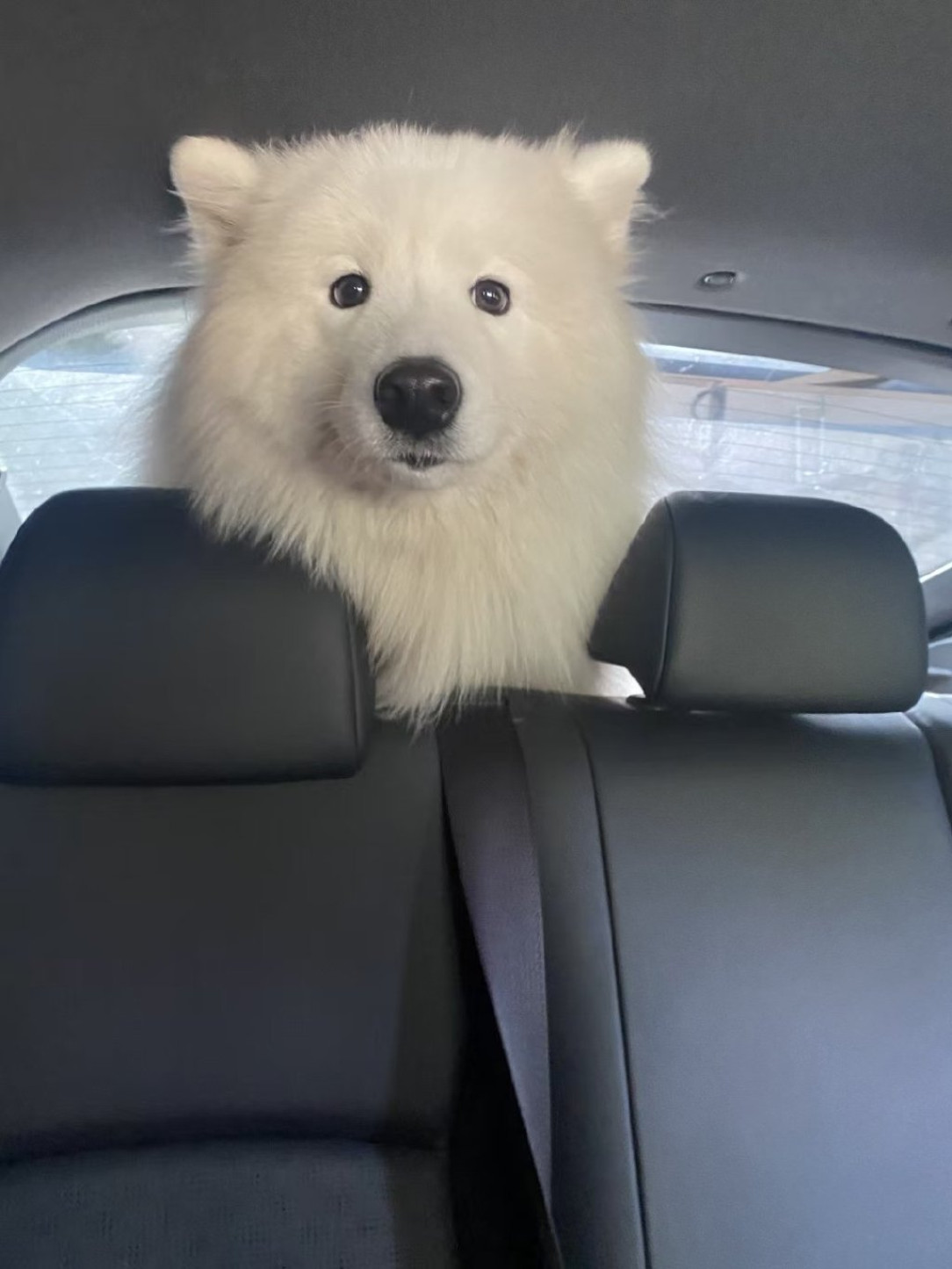 where are we going?