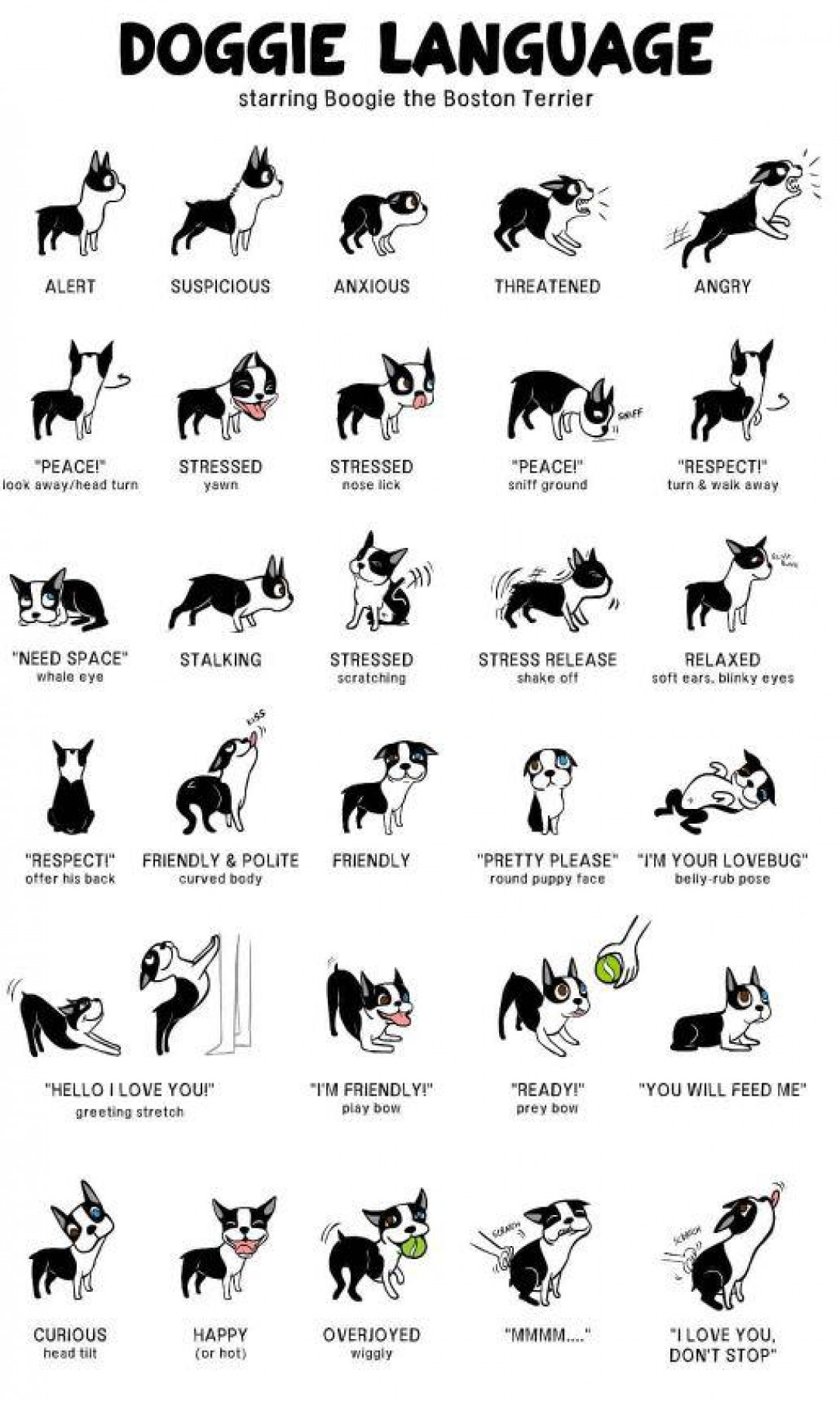 Helpful guide to recognize what a dog is feeling 🐕