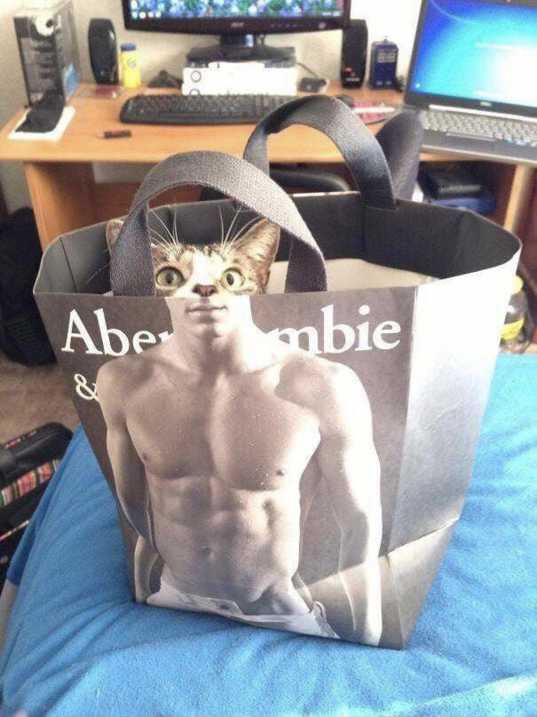 This cat has the strength of 1000 men 😸 💓