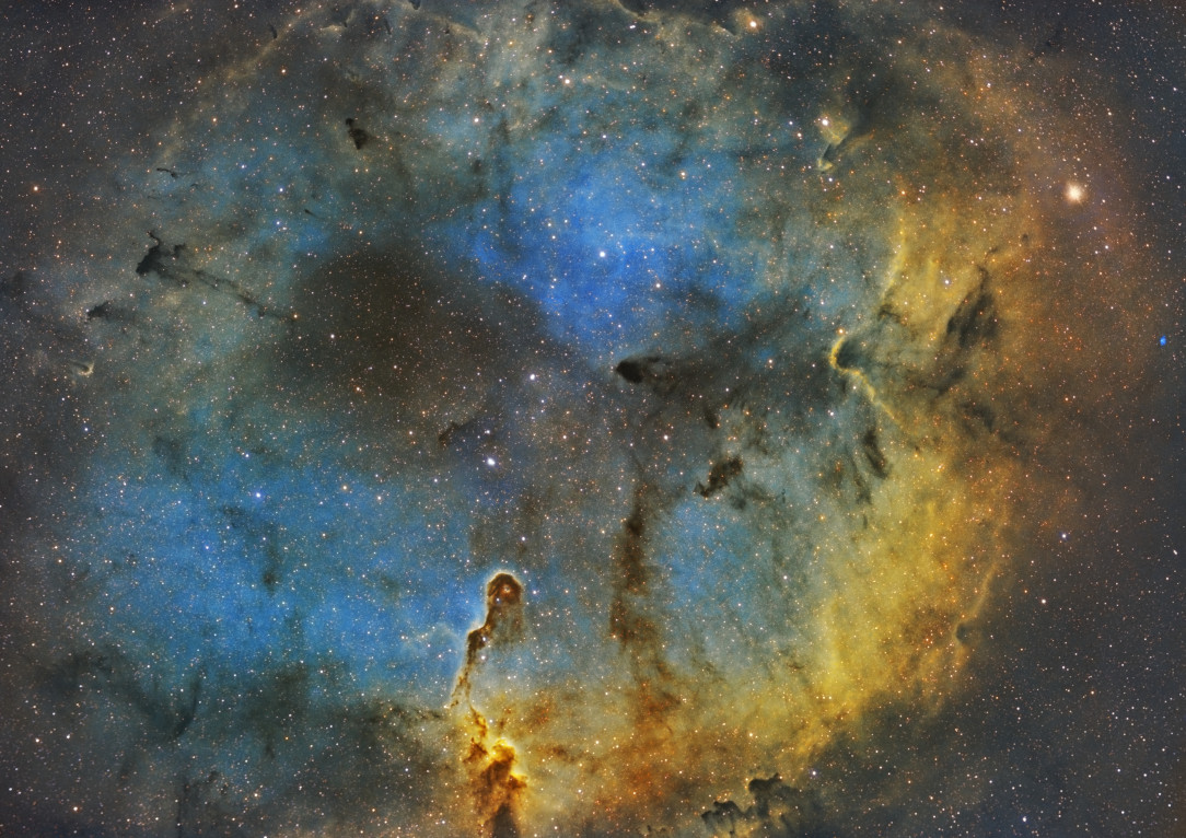 Elephant’s Trunk Nebula / IC 1396