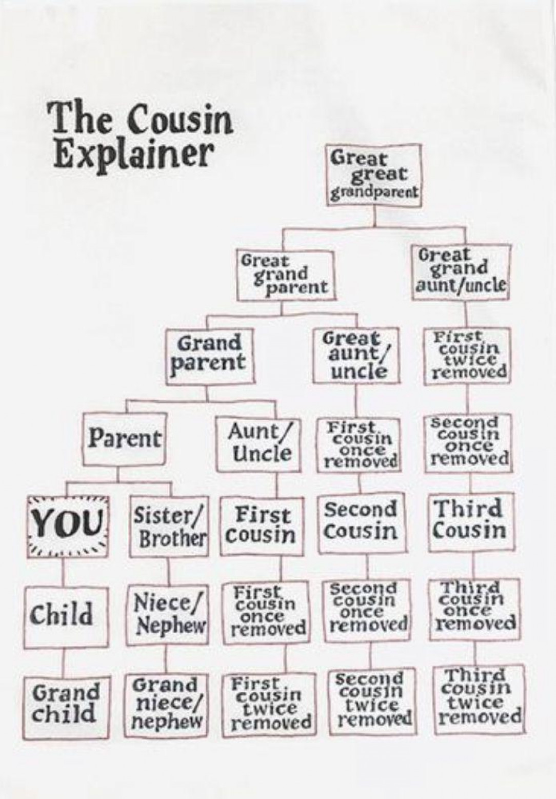 The Cousin Explainer Guide