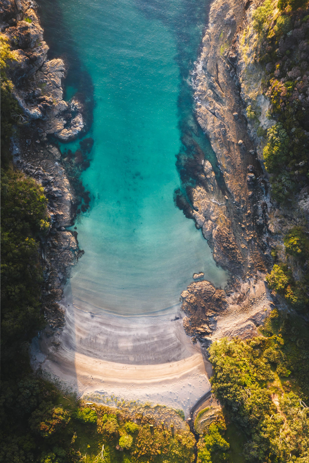 Perfect getaway a secret beach, New Zealand 🏝️