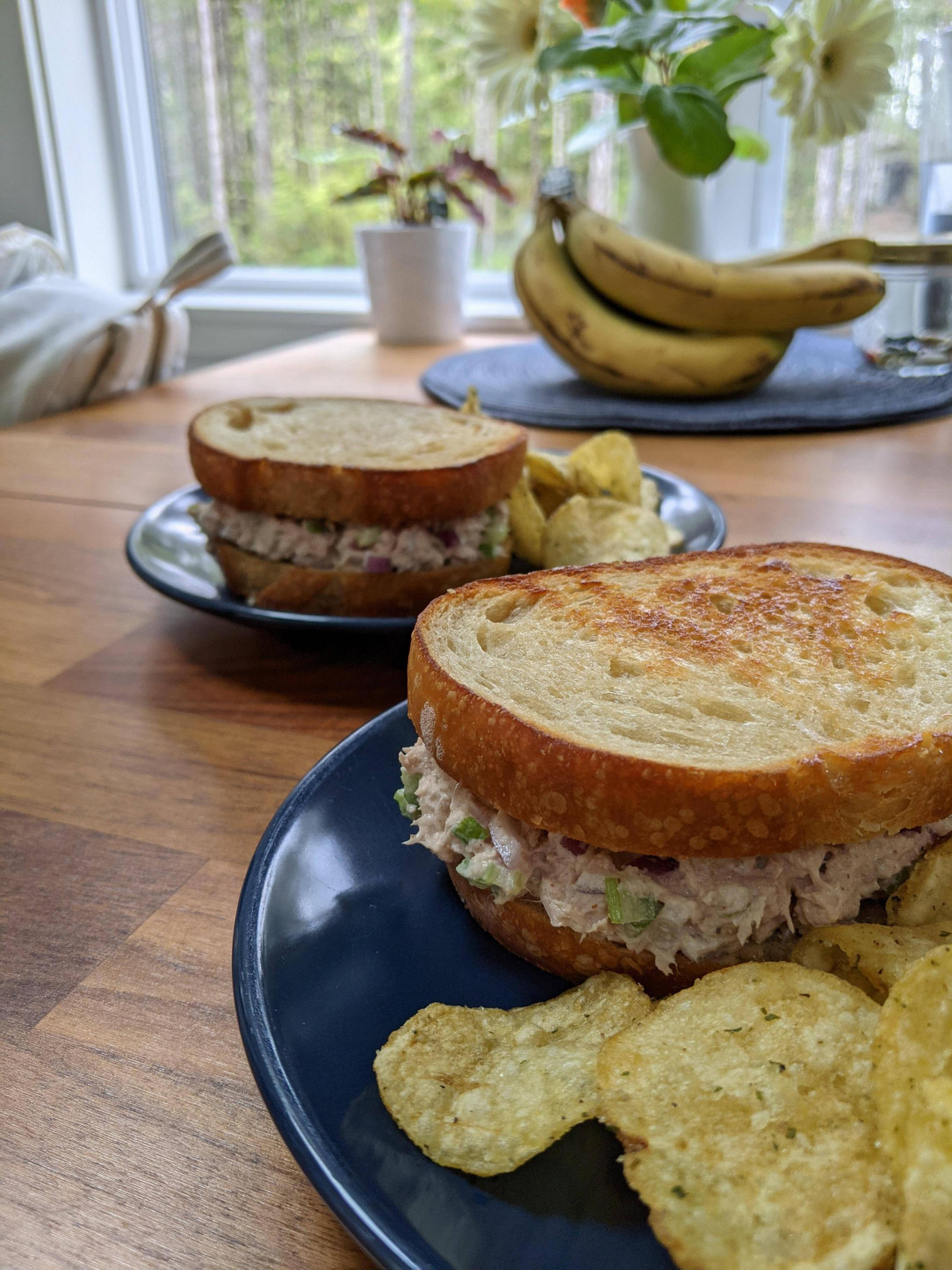 Tuna salad sandwich on toasted sourdough with onion and yogurt chips