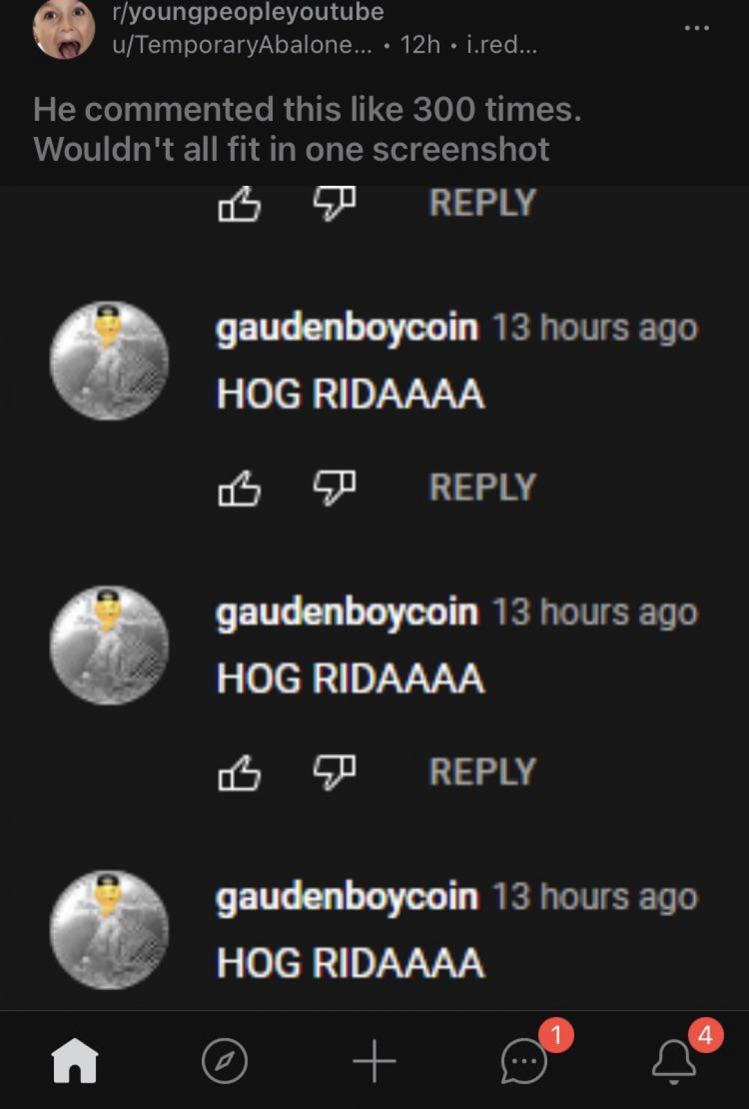 Gaudenboycoin, sayer of hog rider, the undefeated chain champion