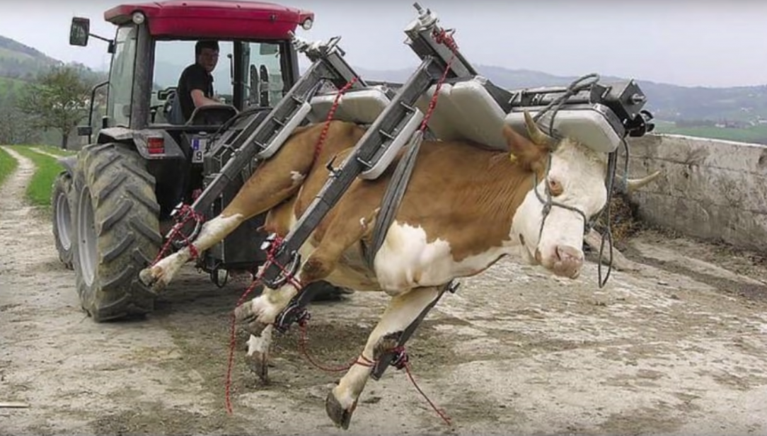 Cow-Dozer MK: 05, Weapon of Bovine Destruction