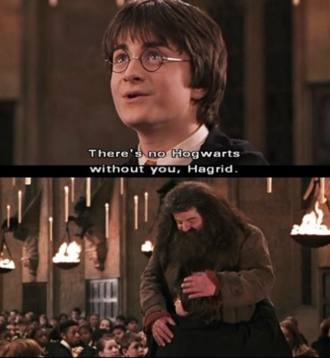 RIP Hagrid