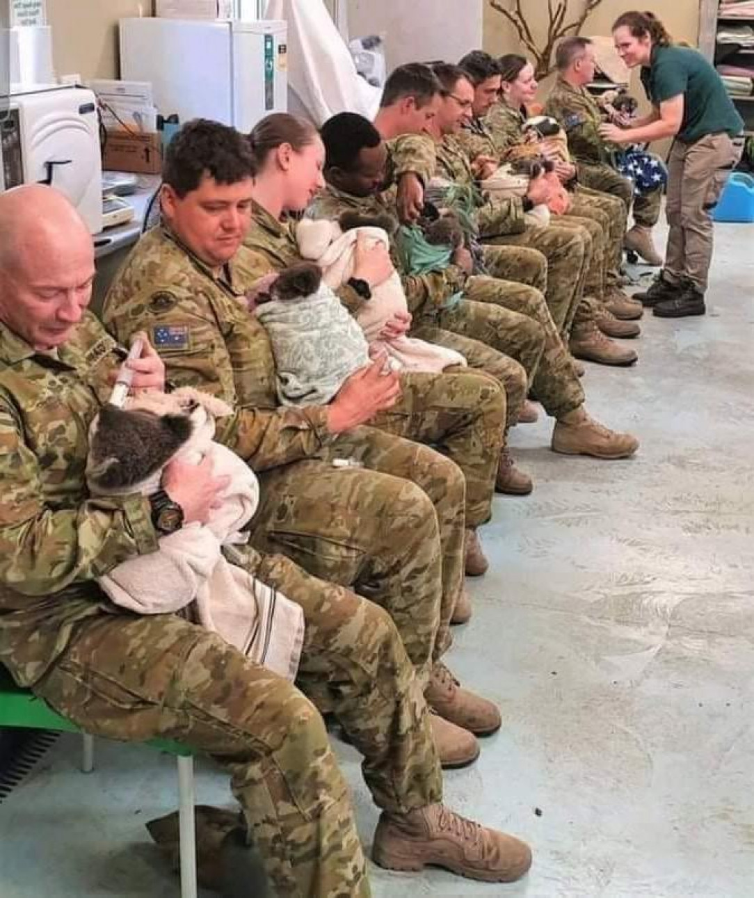 Australian soldiers are taking care of koala bears who were left alone and endangered after the fire