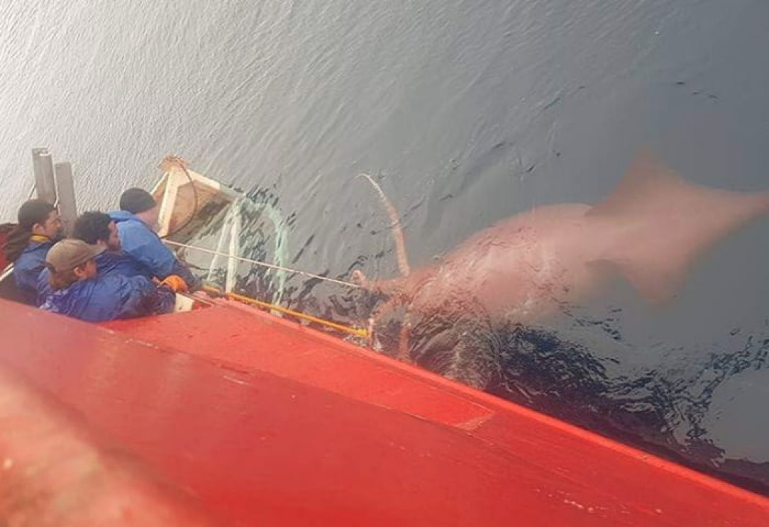 Taken from a fishing boat in Antarctica