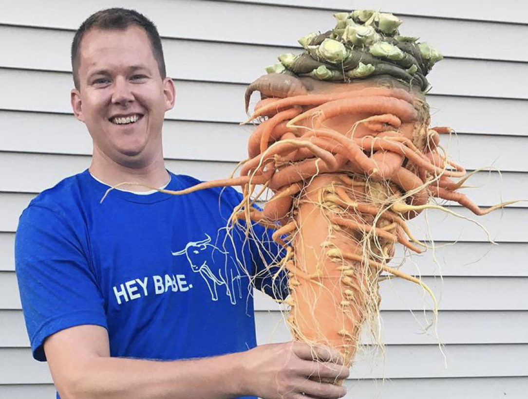 Worlds Largest Carrot