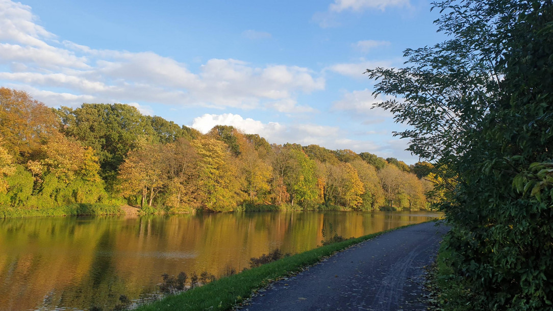 River turning golden in the middle of Bremen, Germany