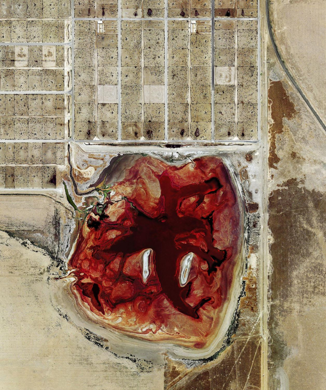 Feedlot in Texas